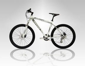 優(yōu)米優(yōu)自行車 高強度液壓成型車架 自行車產(chǎn)品圖